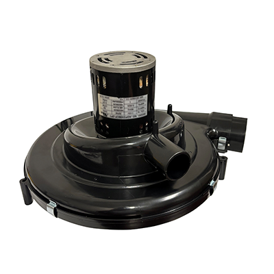 CARRIER/ICP  90+ DRAFT IN