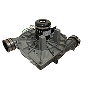 CARRIER/ICP  90+ DRAFT IN